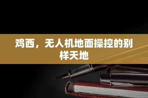 鸡西，无人机地面操控的别样天地