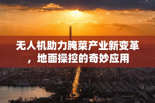 无人机助力腌菜产业新变革，地面操控的奇妙应用