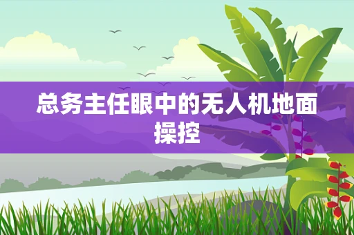 总务主任眼中的无人机地面操控