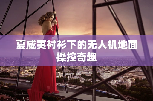 夏威夷衬衫下的无人机地面操控奇趣