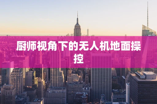 厨师视角下的无人机地面操控
