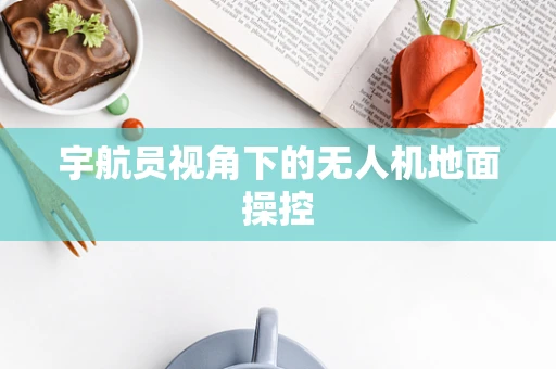 宇航员视角下的无人机地面操控