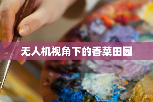 无人机视角下的香菜田园