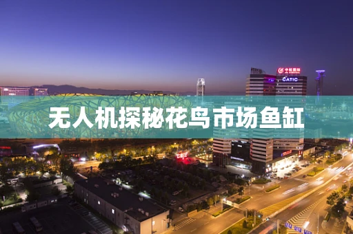 无人机探秘花鸟市场鱼缸