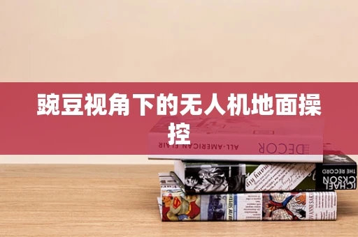 豌豆视角下的无人机地面操控