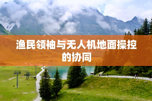 渔民领袖与无人机地面操控的协同