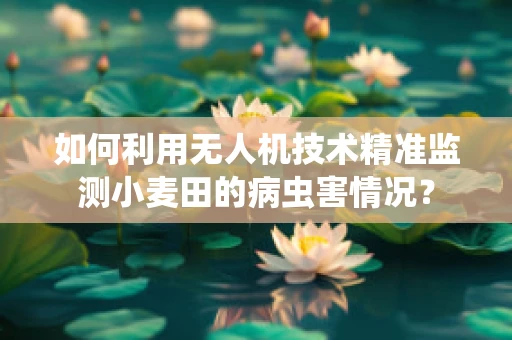 如何利用无人机技术精准监测小麦田的病虫害情况？