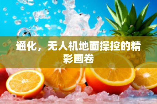 通化，无人机地面操控的精彩画卷