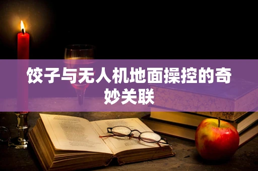 饺子与无人机地面操控的奇妙关联