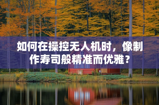 如何在操控无人机时，像制作寿司般精准而优雅？
