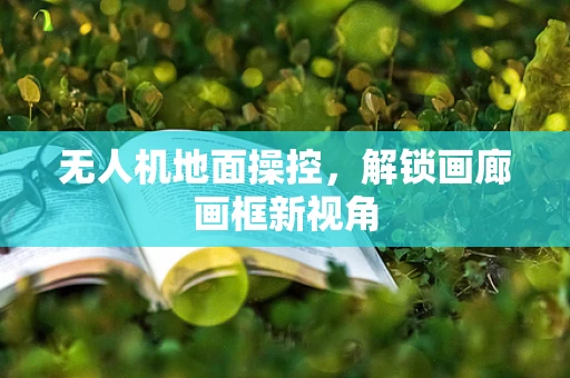 无人机地面操控，解锁画廊画框新视角