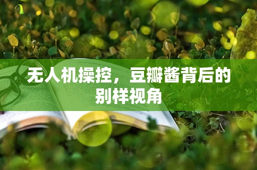 无人机操控，豆瓣酱背后的别样视角