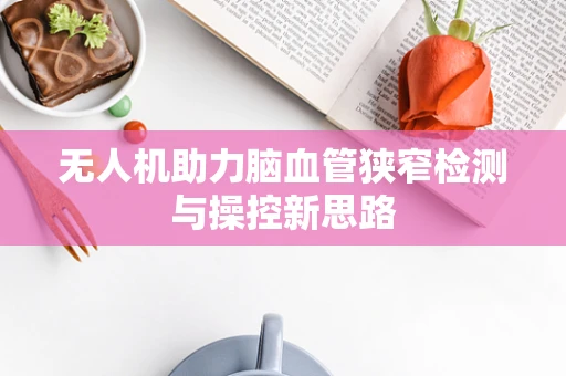 无人机助力脑血管狭窄检测与操控新思路