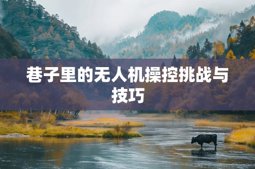 巷子里的无人机操控挑战与技巧