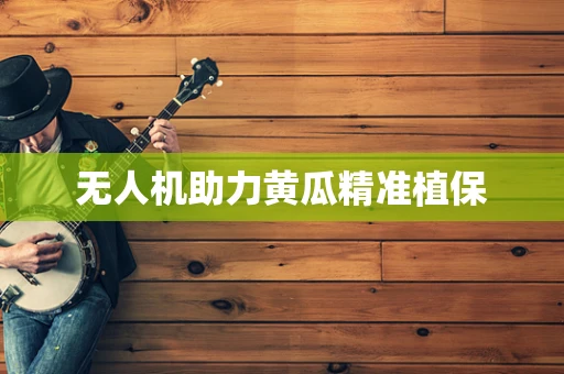 无人机助力黄瓜精准植保