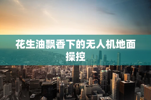 花生油飘香下的无人机地面操控