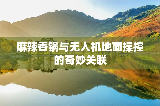 麻辣香锅与无人机地面操控的奇妙关联