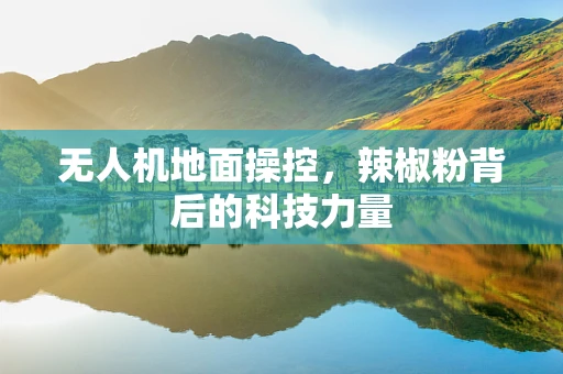 无人机地面操控，辣椒粉背后的科技力量