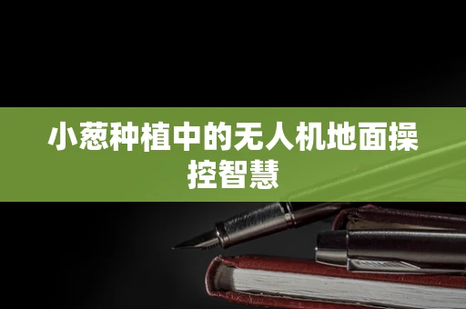 小葱种植中的无人机地面操控智慧