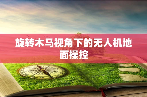 旋转木马视角下的无人机地面操控