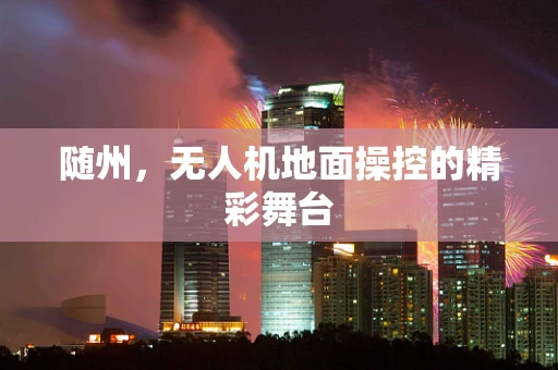 随州，无人机地面操控的精彩舞台