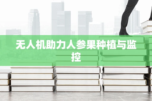 无人机助力人参果种植与监控