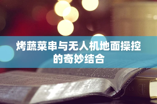 烤蔬菜串与无人机地面操控的奇妙结合