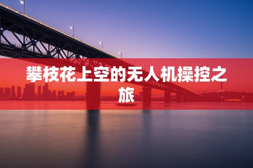 攀枝花上空的无人机操控之旅