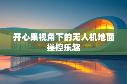 开心果视角下的无人机地面操控乐趣