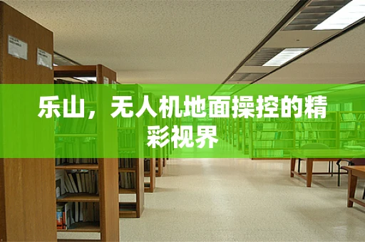 乐山，无人机地面操控的精彩视界