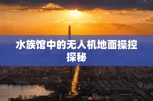水族馆中的无人机地面操控探秘