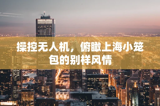 操控无人机，俯瞰上海小笼包的别样风情