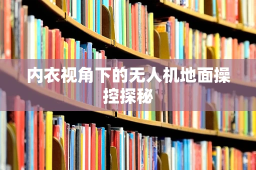 内衣视角下的无人机地面操控探秘