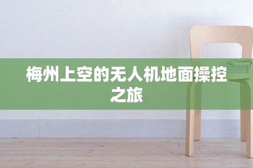 梅州上空的无人机地面操控之旅