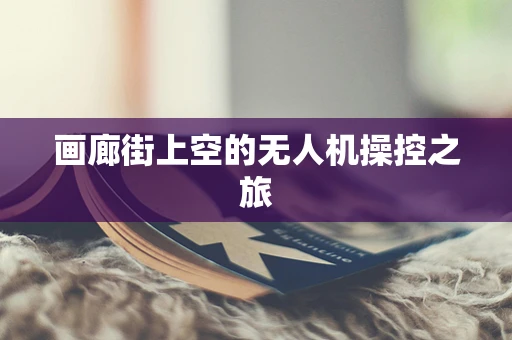 画廊街上空的无人机操控之旅