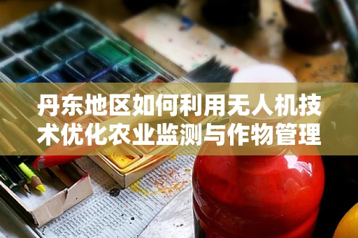 丹东地区如何利用无人机技术优化农业监测与作物管理？