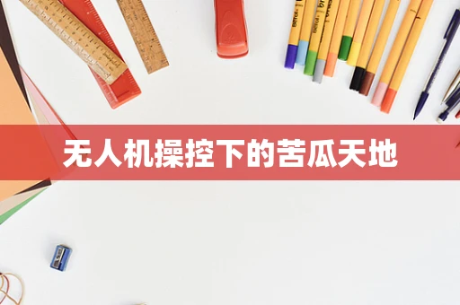 无人机操控下的苦瓜天地