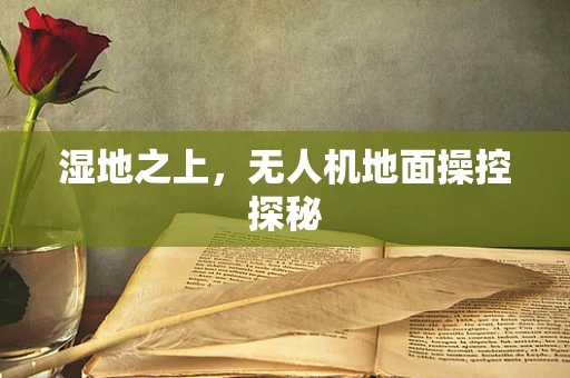湿地之上，无人机地面操控探秘