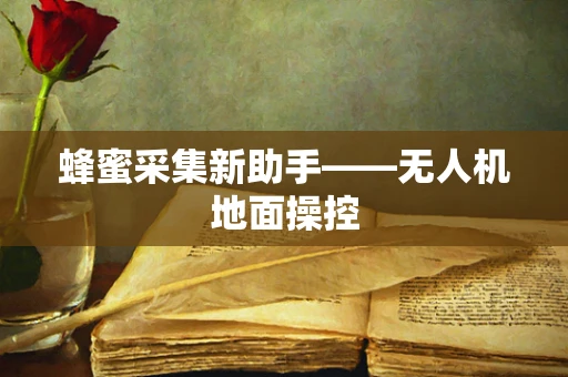 蜂蜜采集新助手——无人机地面操控