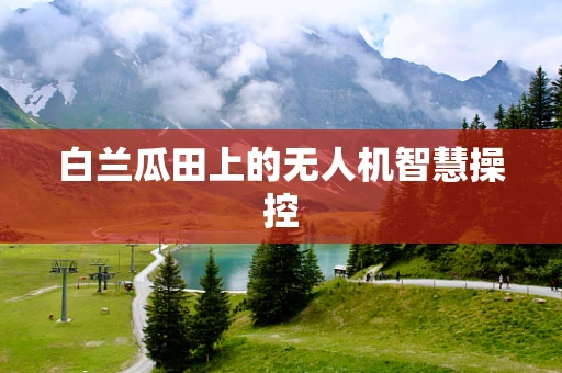 白兰瓜田上的无人机智慧操控