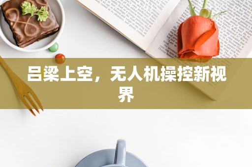 吕梁上空，无人机操控新视界