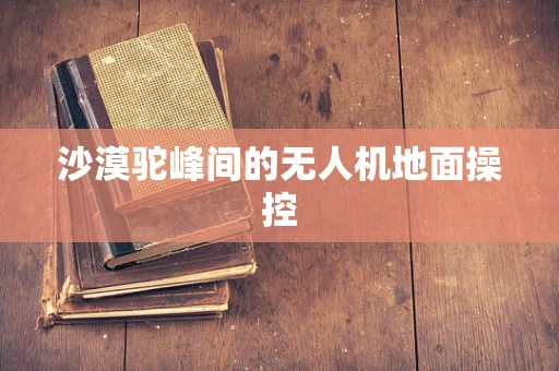 沙漠驼峰间的无人机地面操控