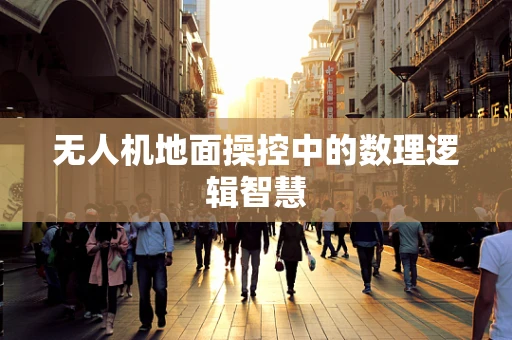 无人机地面操控中的数理逻辑智慧
