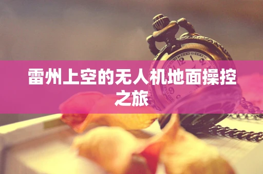 雷州上空的无人机地面操控之旅