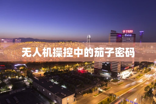 无人机操控中的茄子密码