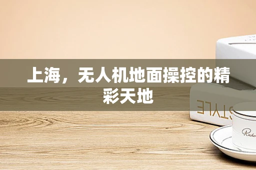上海，无人机地面操控的精彩天地