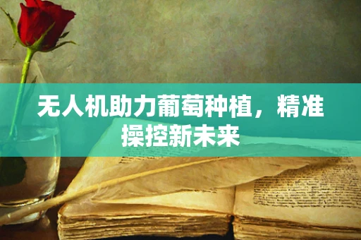 无人机助力葡萄种植，精准操控新未来