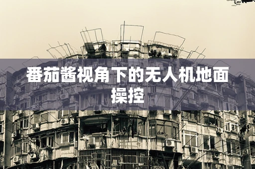 番茄酱视角下的无人机地面操控
