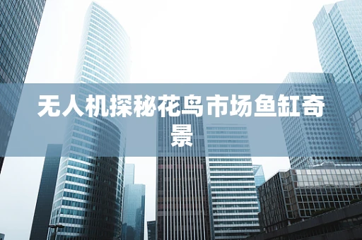 无人机探秘花鸟市场鱼缸奇景