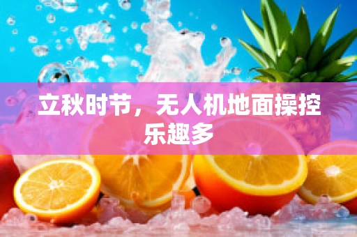 立秋时节，无人机地面操控乐趣多